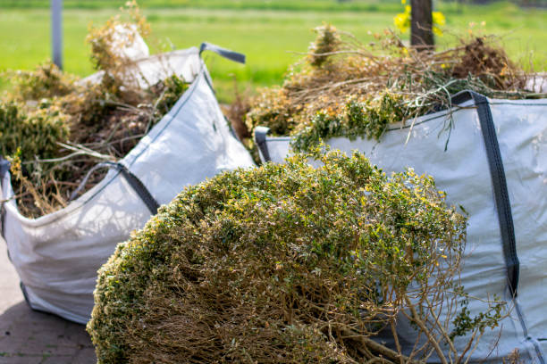 Best Junk Removal Near Me  in Waterville, MN