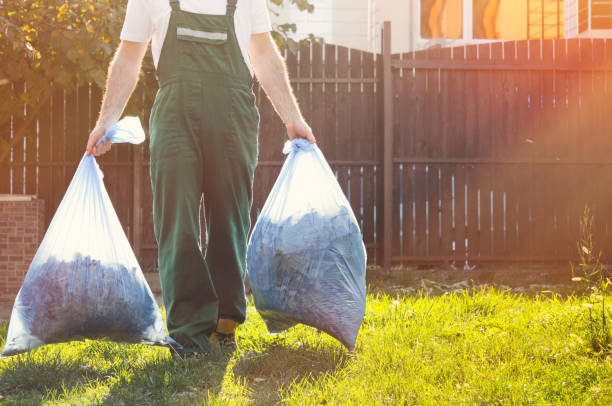 Best Yard Cleanup Services  in Waterville, MN