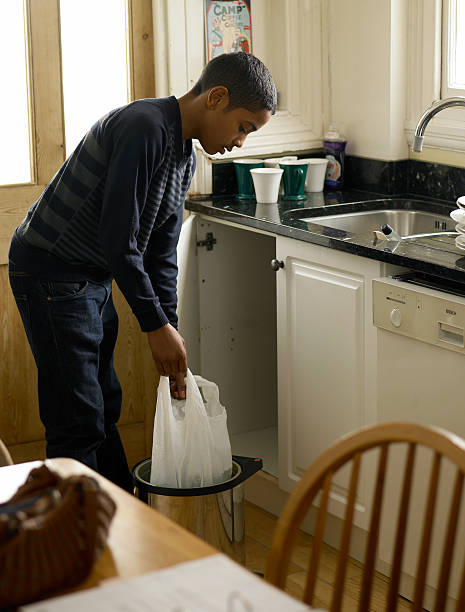Best Construction Debris Removal  in Waterville, MN